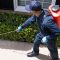 Pest Management Help With Keeping Nasty Unwanted pests From The Home