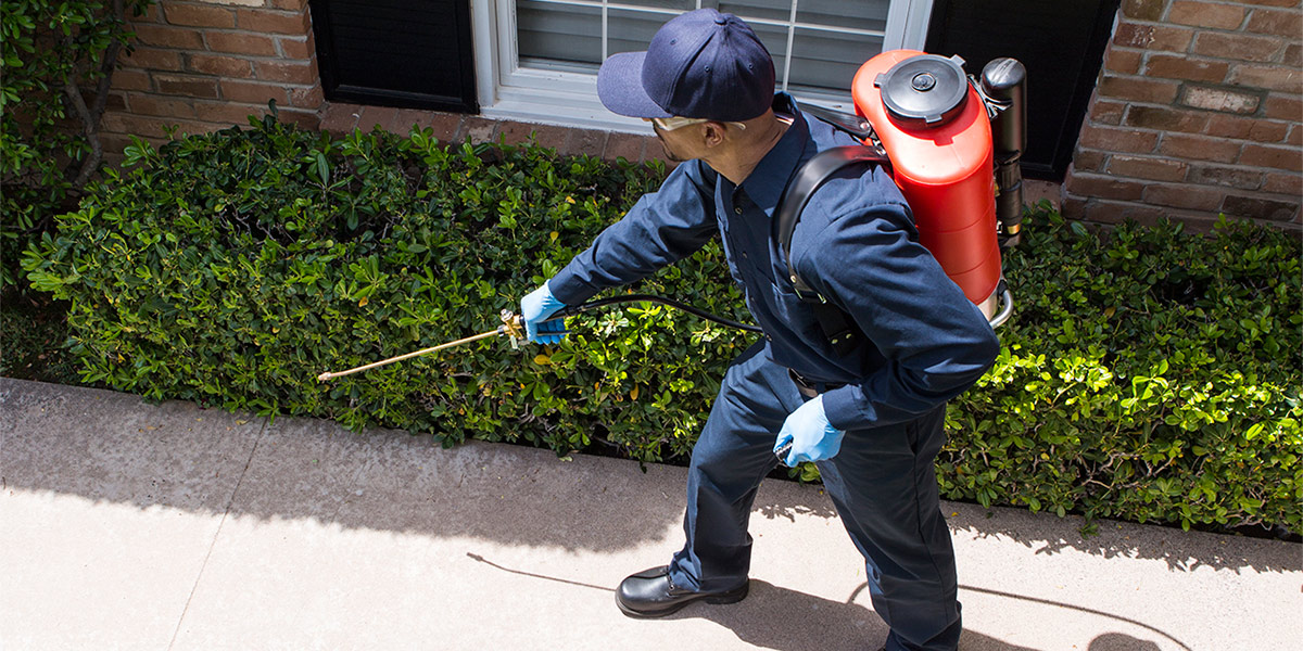 Pest Management Help With Keeping Nasty Unwanted pests From The Home